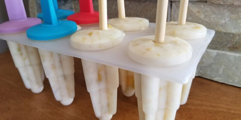 Popsicles de yogourt aux cerises de terre