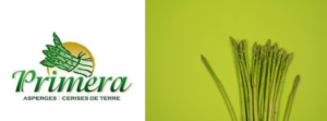 Image d'asperges vertes avec le logo Primera